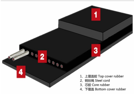 Steel cord conveyor belt product sample